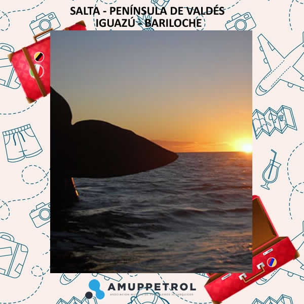 SALTA - PEN&Iacute;NSULA DE VALD&Eacute;S - IGUAZ&Uacute; - BARILOCHE