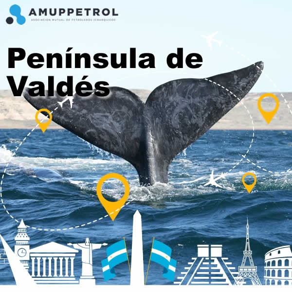 Península de Valdés - Salidas desde Mendoza Norte, San Martín, Monte Coman y General Alvear