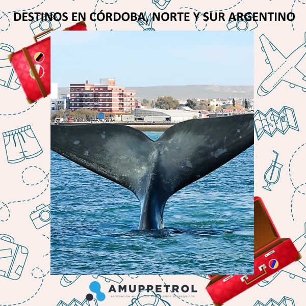 DESTINOS EN CÓRDOBA, NORTE Y SUR ARGENTINO