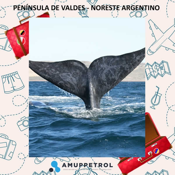 PENINSULA DE VALDES - NORESTE ARGENTINO